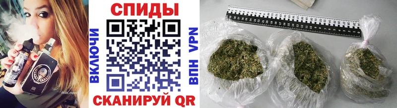 закладки  Оса  Бутират бутик 