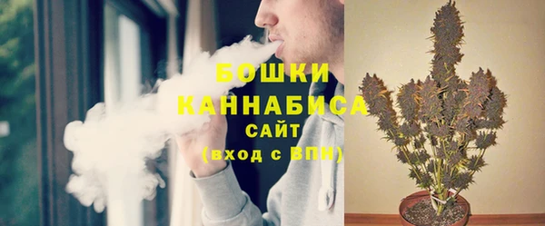 spice Аркадак