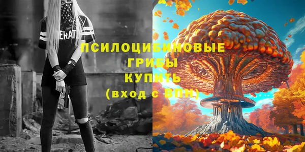 круглые Арсеньев