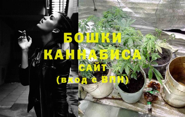 spice Аркадак